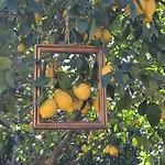Sorrento Experience