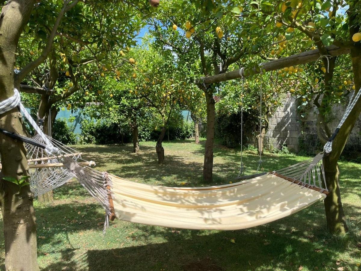 Casa Sorrento, Immerso Nel A Pochi Passi Dal Centro Appartement Sorrento