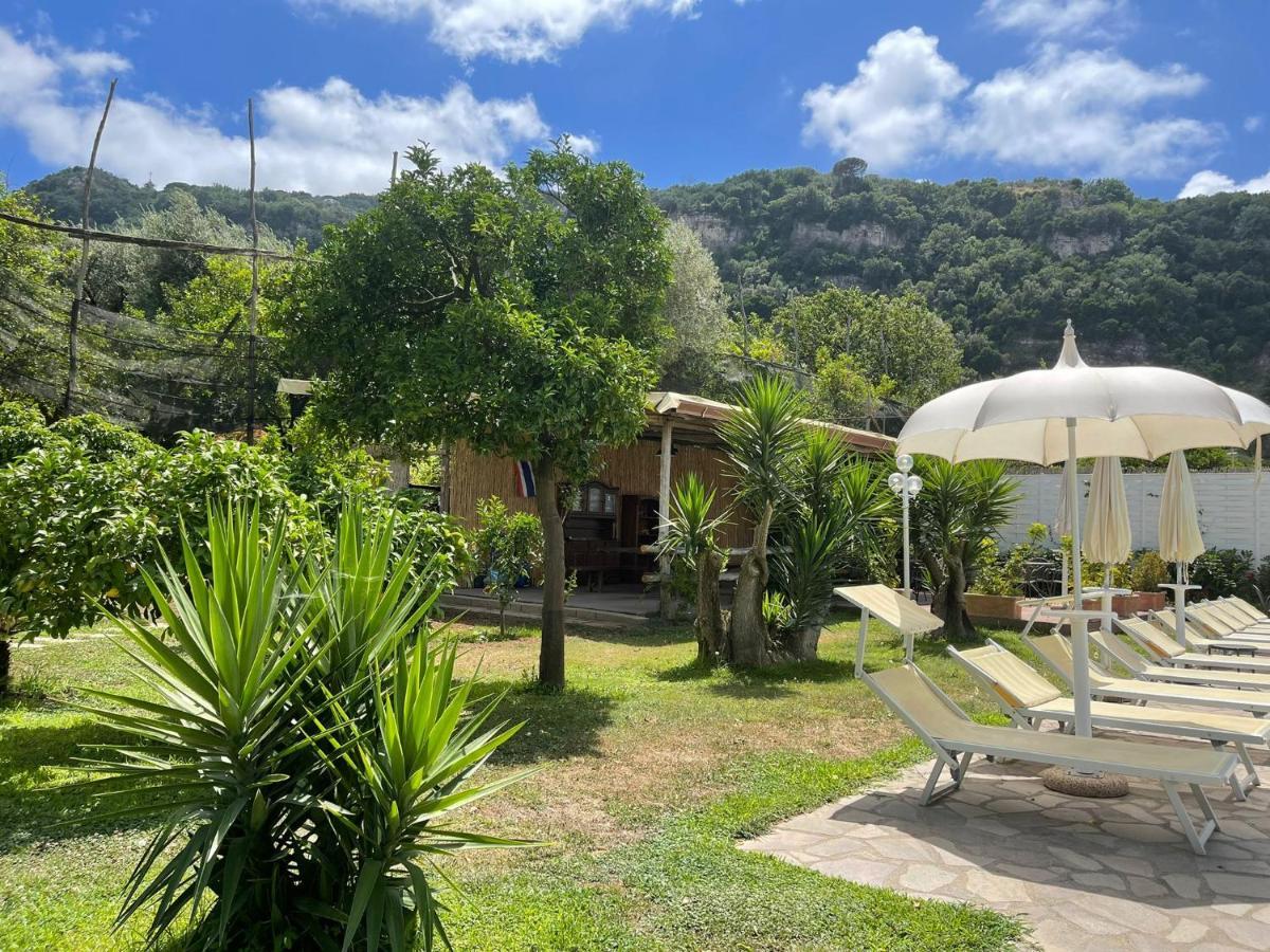 Casa Sorrento, Immerso Nel A Pochi Passi Dal Centro *