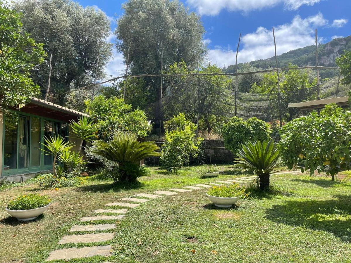 Appartement Casa Sorrento, Immerso Nel A Pochi Passi Dal Centro Sorrento