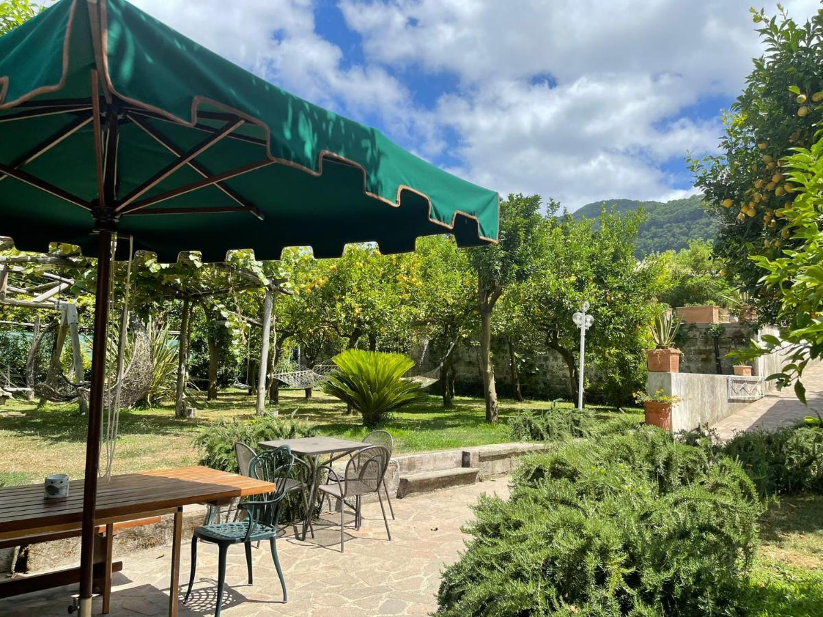Casa Sorrento, Immerso Nel A Pochi Passi Dal Centro Appartement