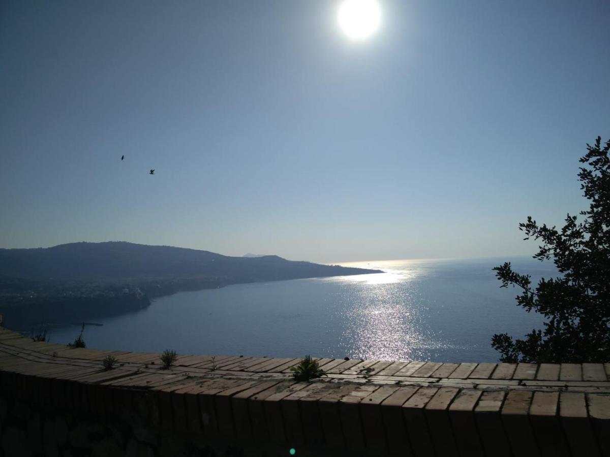 Apartment Grimaldi Guest Sorrento
