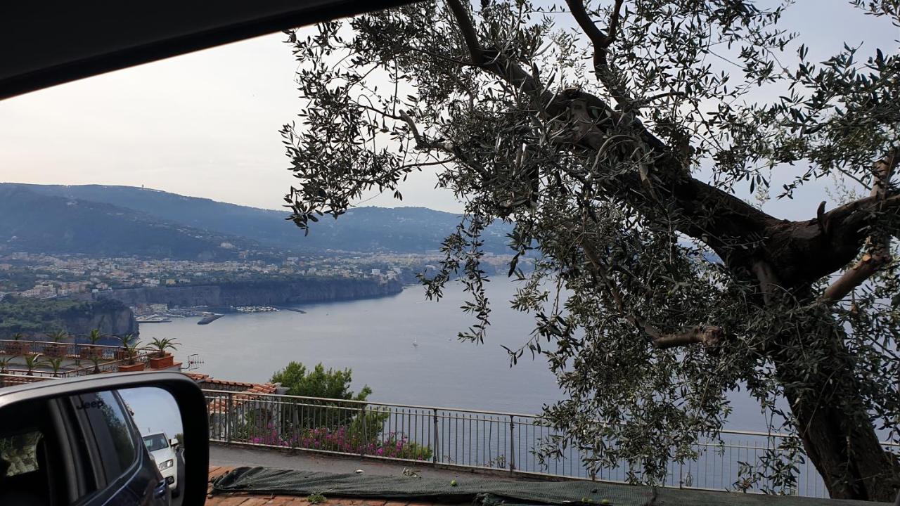 Grimaldi Guest Sorrento