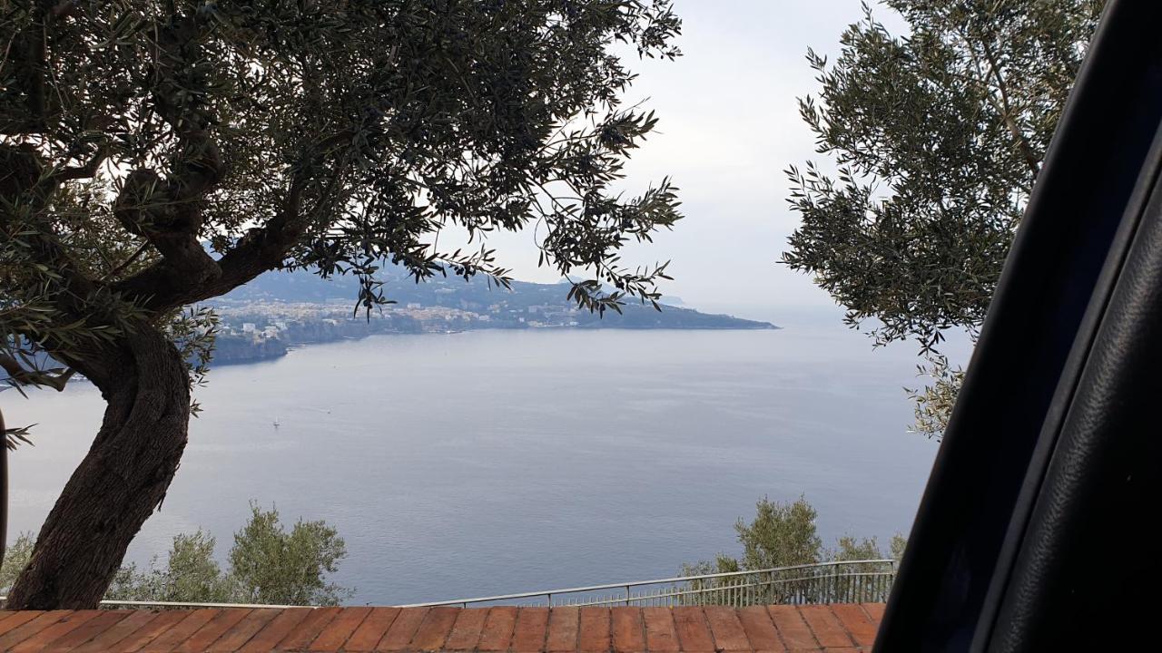 Grimaldi Guest Apartment Sorrento