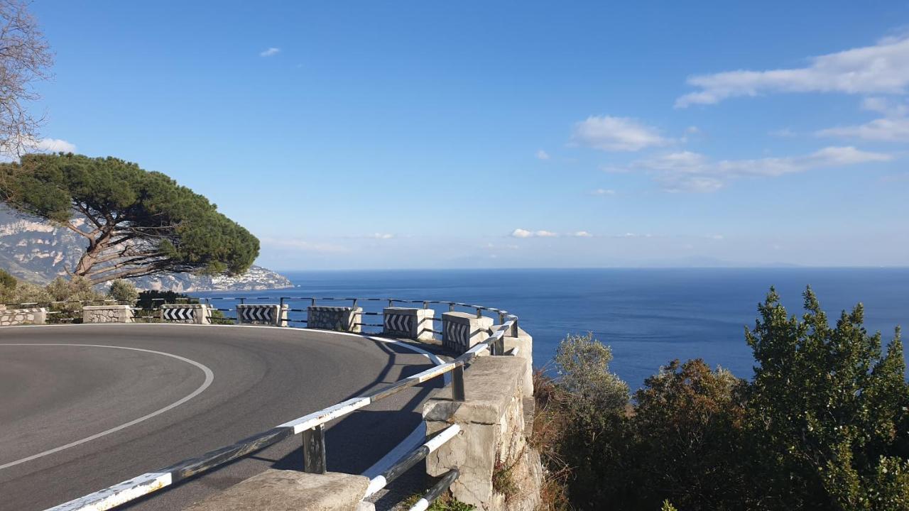 Grimaldi Guest * Sorrento