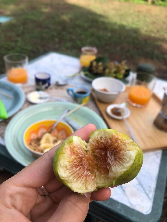 Habitat Eco Farm Glamping *