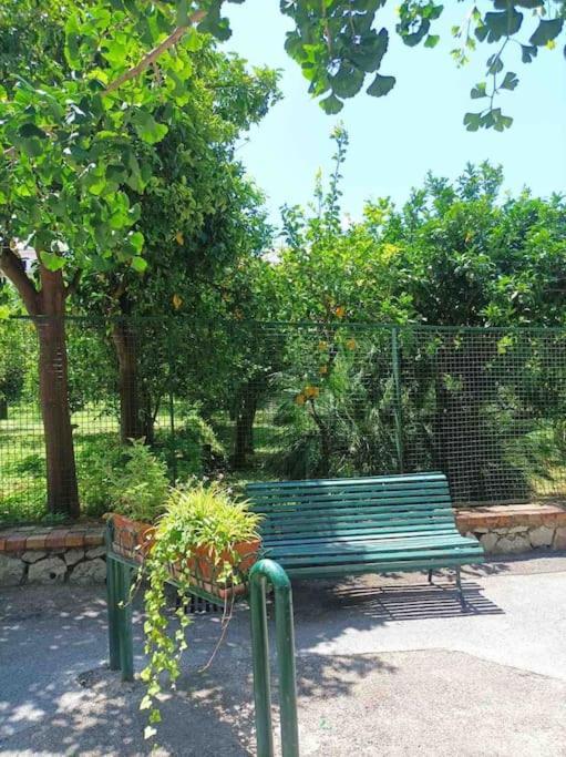 Apartment Casa Masi -