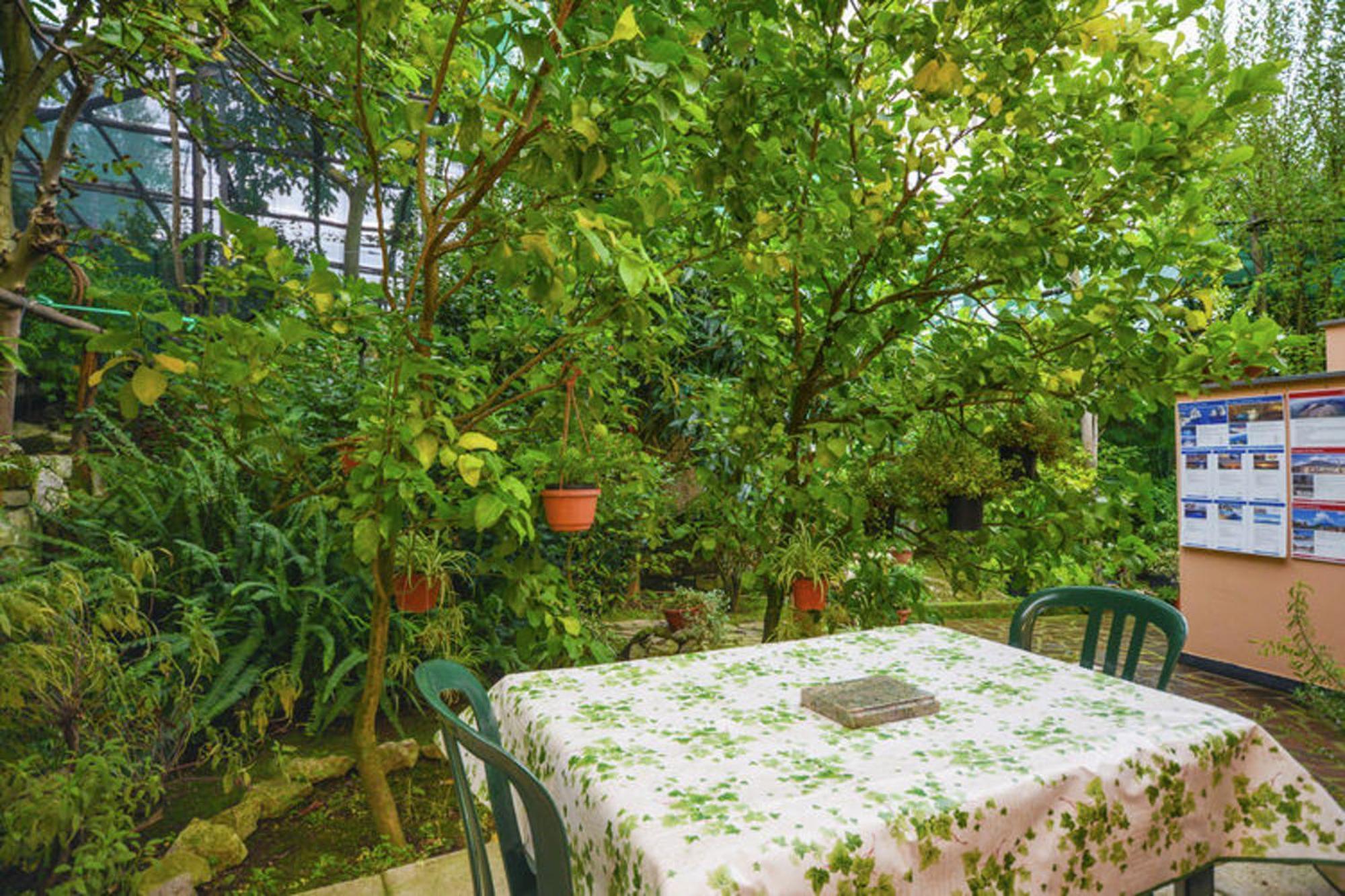 Holiday home Comfortable House With Sea View In *