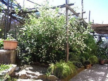 Casale Nunziatina Apartamento