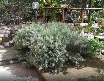 Casale Nunziatina Apartamento *