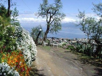 Guest house Casarufolo Paradise 2*