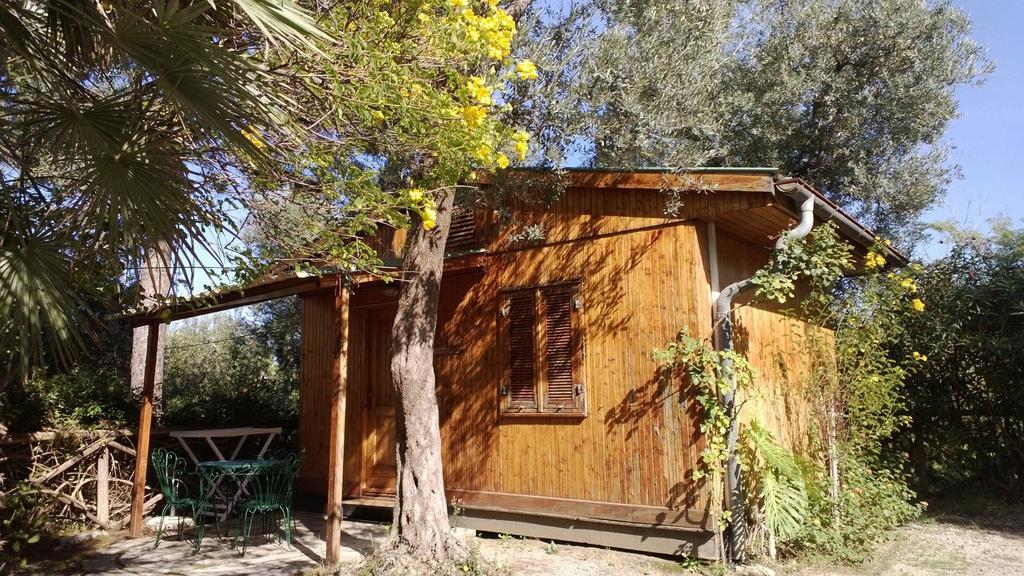 Campsite Nube D'argento