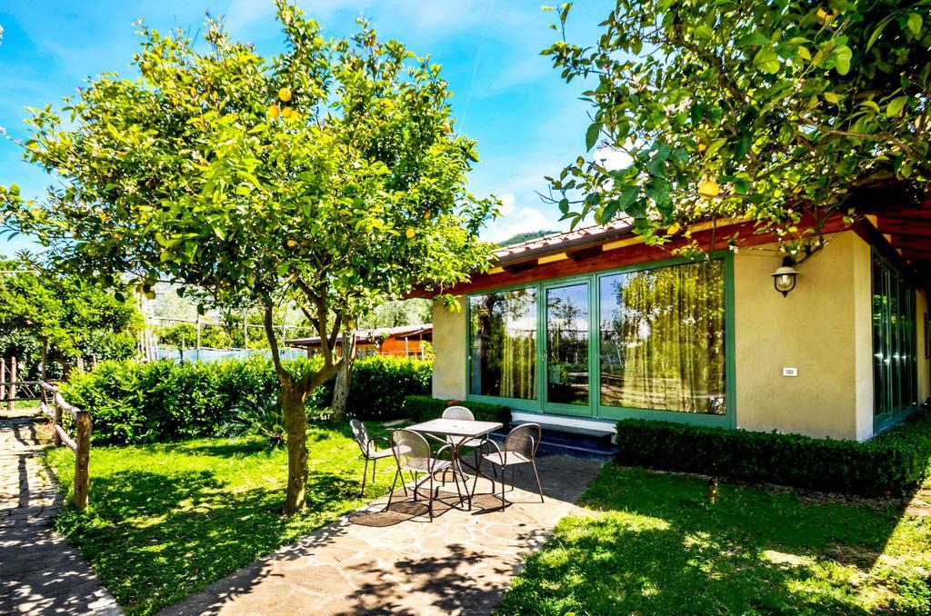 Holiday home Limoneto E *