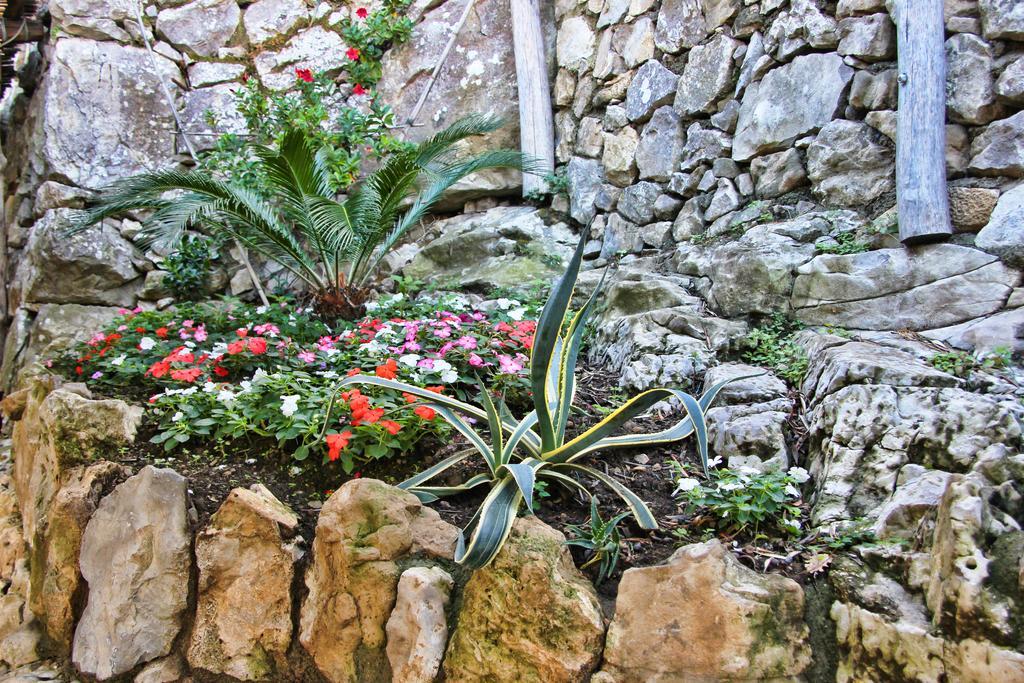 Casarufolo Paradise