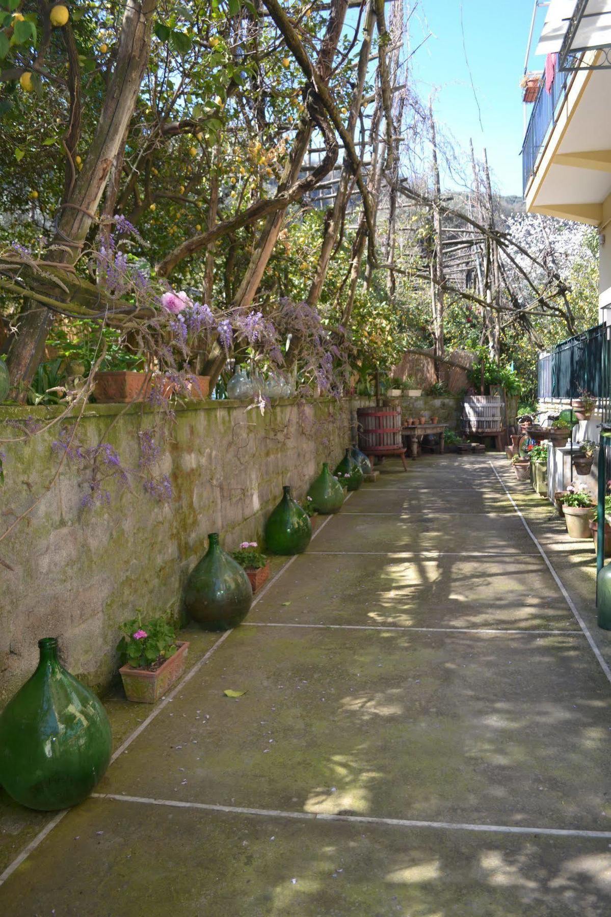 Experience Bed & Breakfast Sorrento