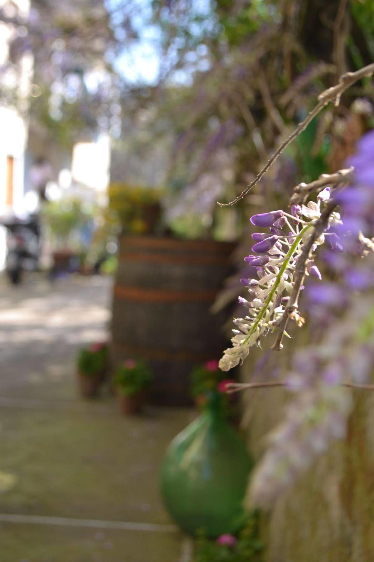 Bed & Breakfast Experience Sorrento
