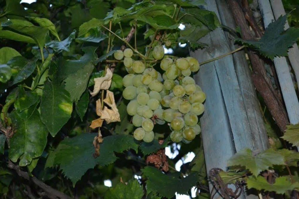Experience Bed & Breakfast Sorrento