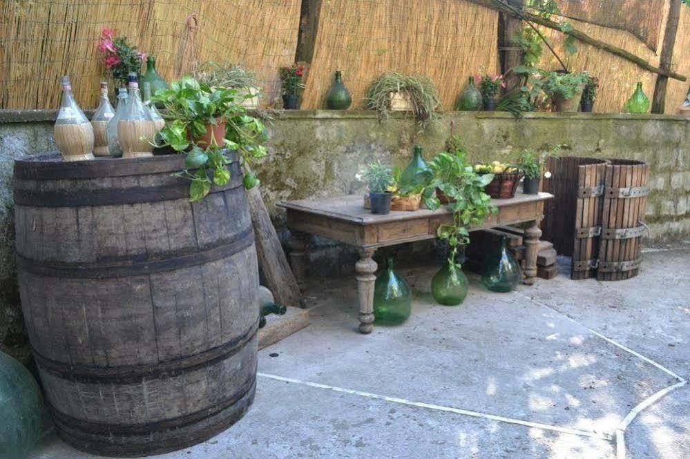 Experience Sorrento