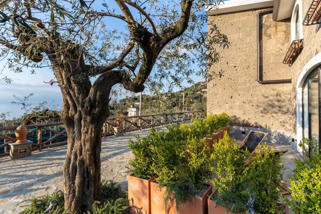 Maison Bon Bon Guest house Sorrento