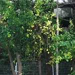 Sorrento Studios Lemons Hill