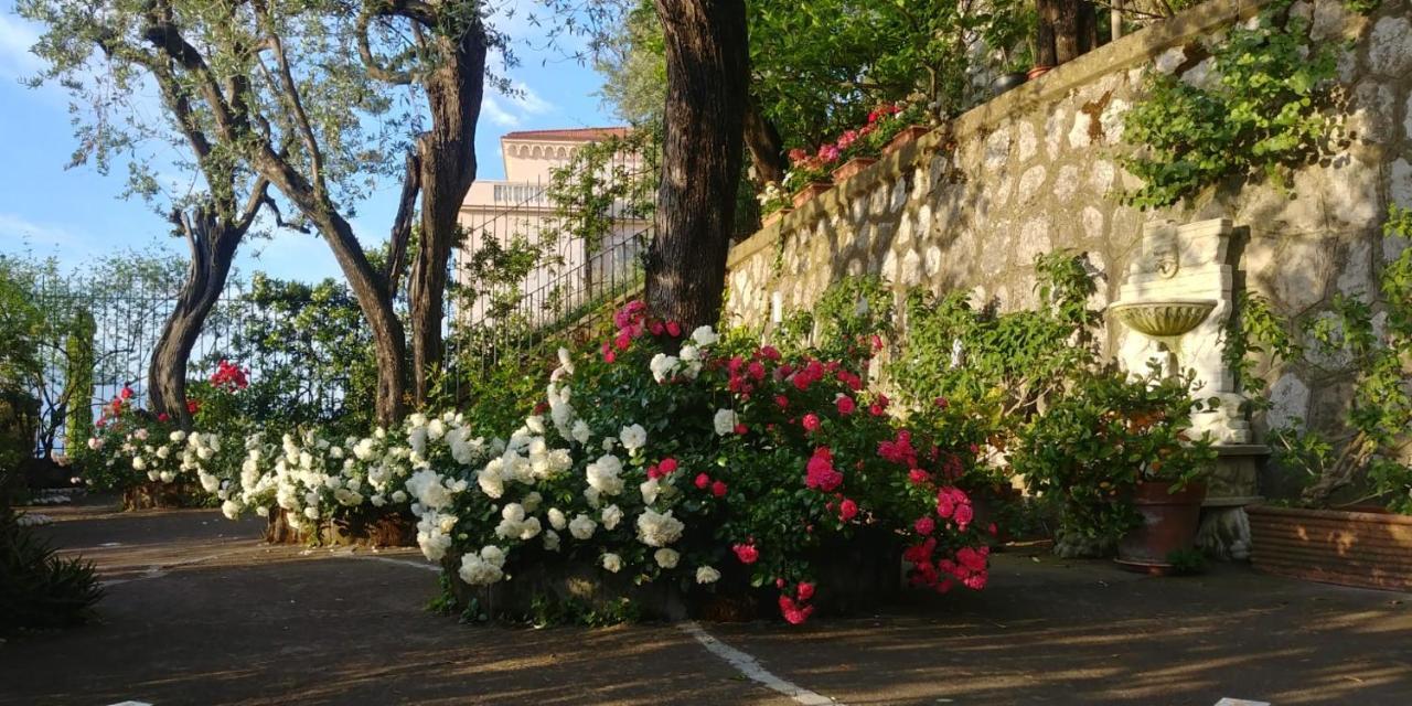 Villa L'ulivina *