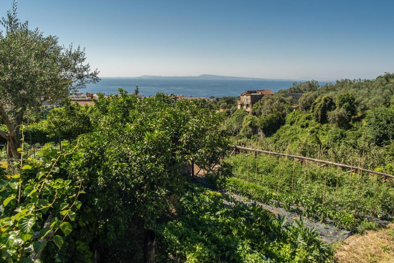 Villa Eden *