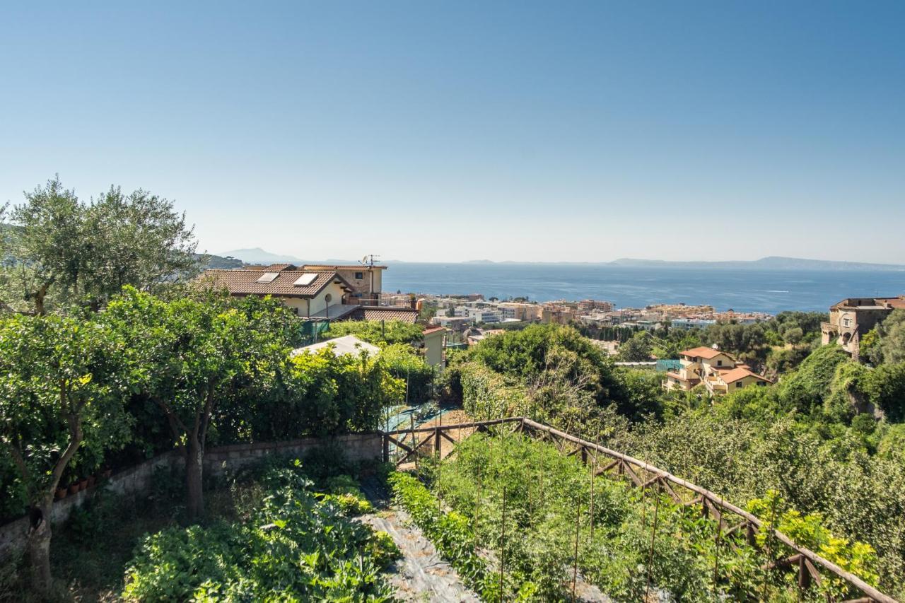 Villa Eden