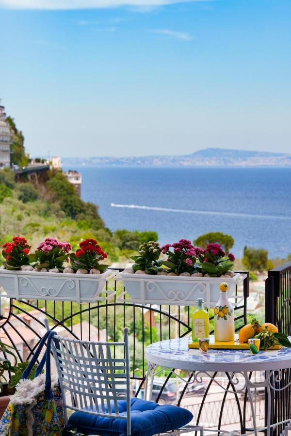 Sofi * Sorrento