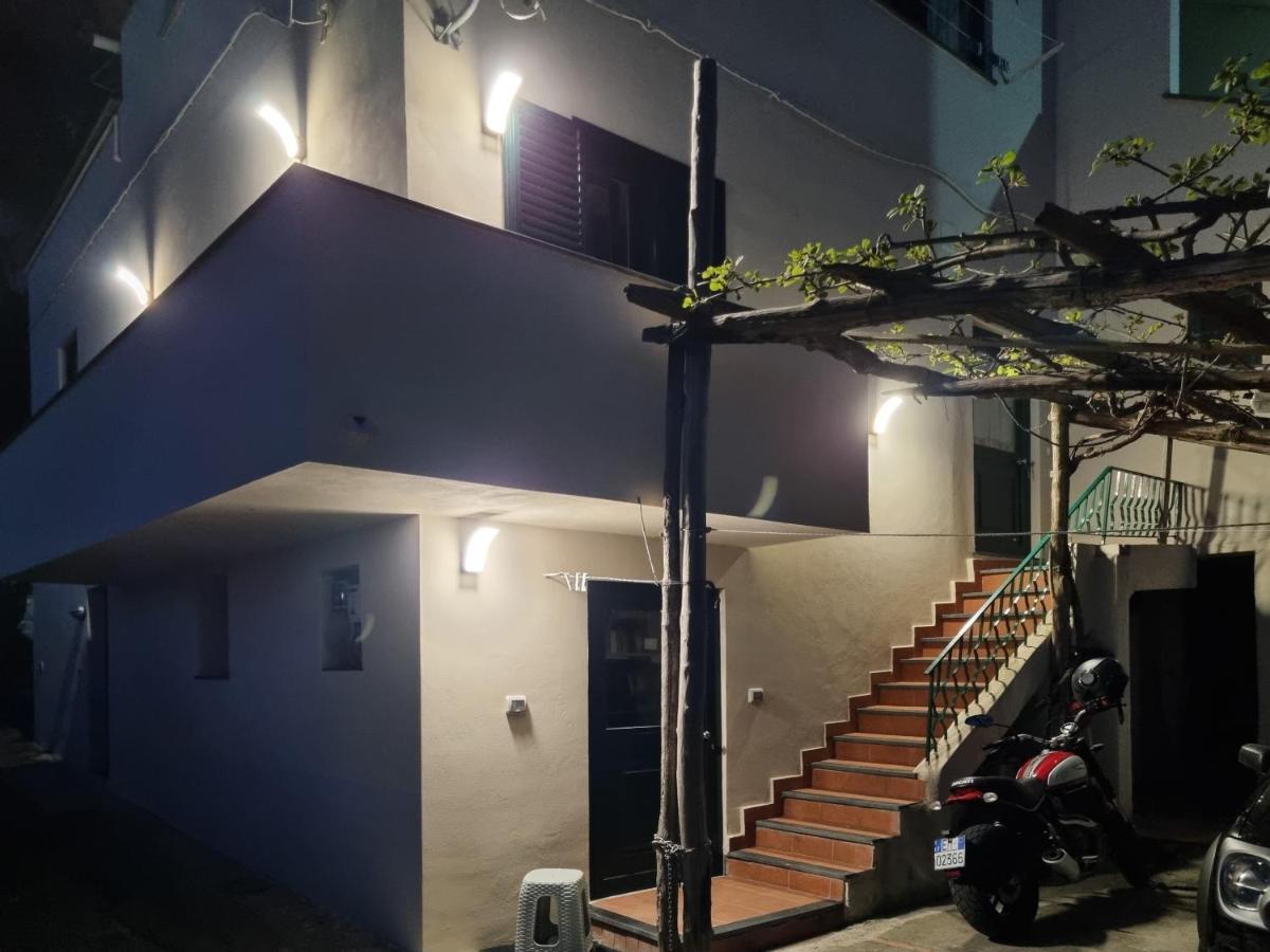 Apartamento Nanninella Hh