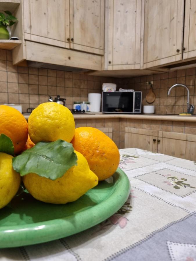 Nanninella Hh Apartamento