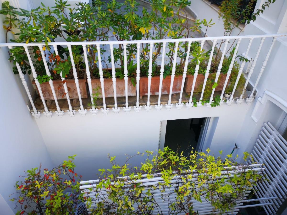 Muta House