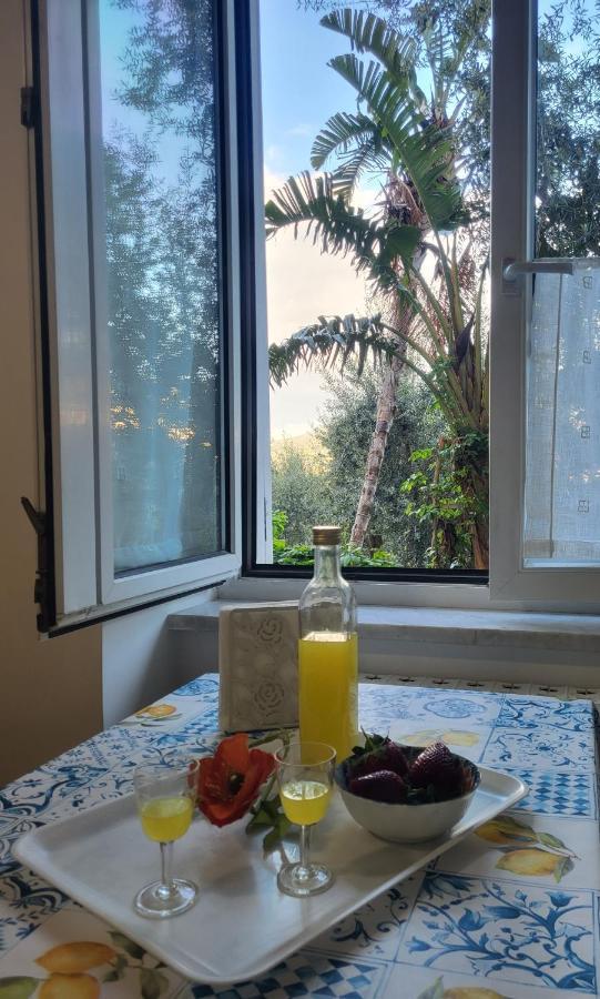 Bed & Breakfast Casa Athena