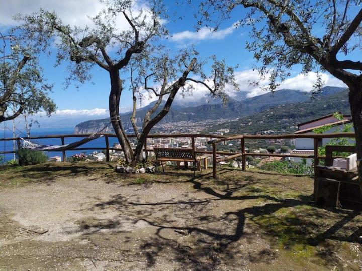 Pacific Hill Sorrento