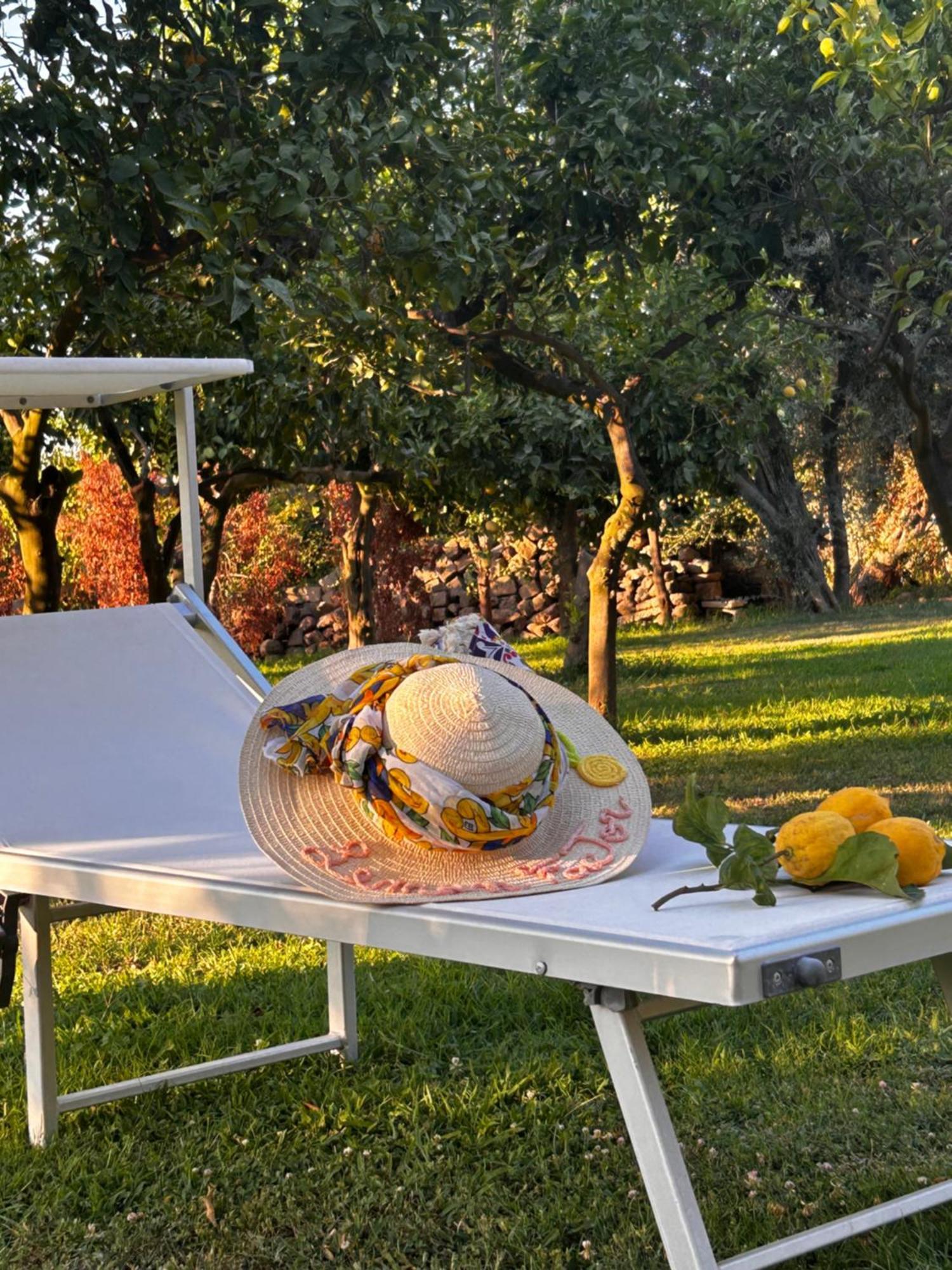 Lemon Factor 3* Sorrento