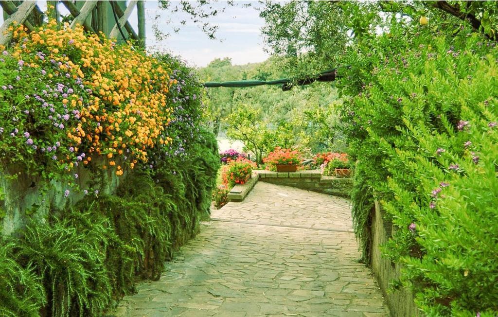 Villa Margherita Garden *