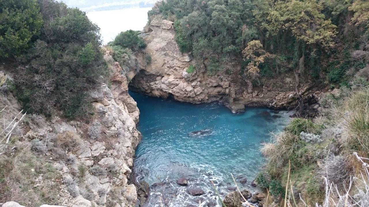 L'ulivina * Sorrento