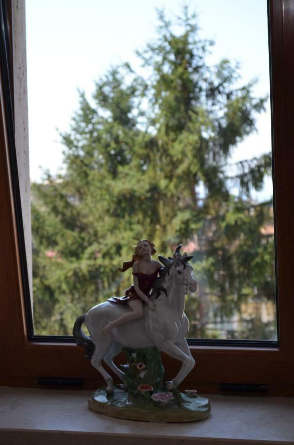 Luiselle Charming Center Guest house Sorrento
