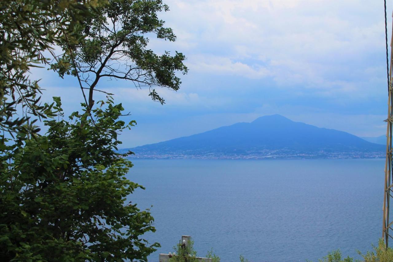 Pacific Hill Apartment Sorrento