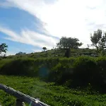 Azienda Agricola Fattoria Terranov