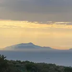 Firefly Home Sorrento