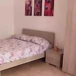 Il Tulipano