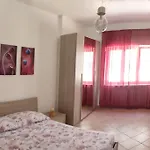 Il Tulipano