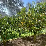 Sorrento Realty Holidays - The Smile Of The Sun