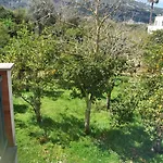 Antelia\'S Home