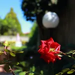 Ambrosio Relais