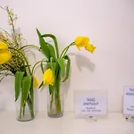 Tasso Apartments