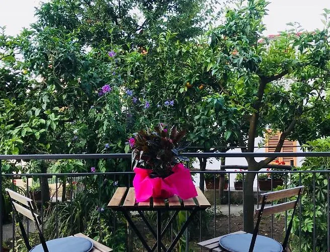 B&B Miccio