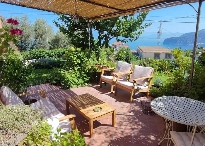 Lally\'S Garden
