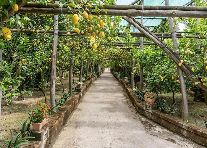Romantic Garden