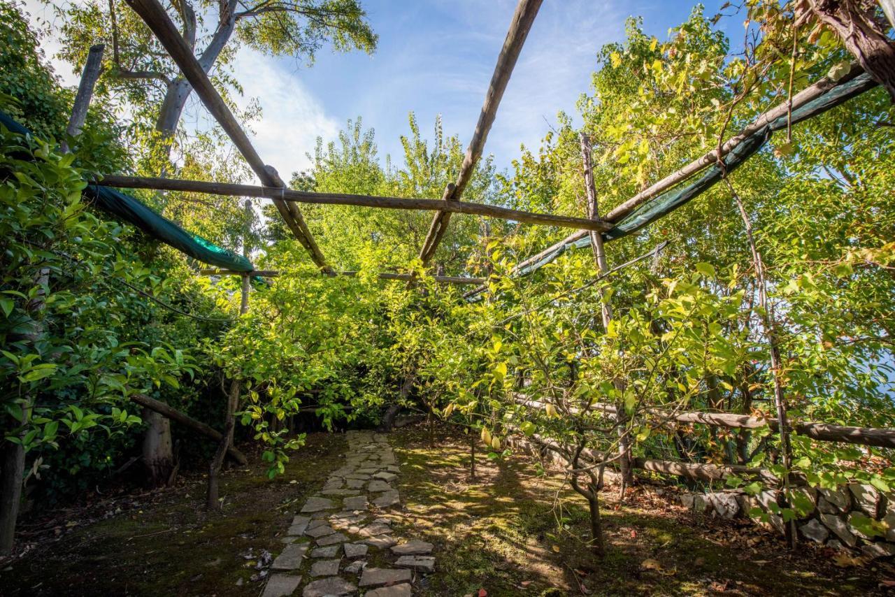 Villa Casa Angelica Sorrento
